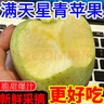 山西新鮮蘋果青蘋果水果孕婦酸甜脆當(dāng)應(yīng)季批發(fā)整箱富士平果王林 帶箱5斤【精選】 曬單實拍圖
