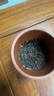 御茶天賜茶葉普洱茶熟茶10年陳冰島古樹茶熟普洱散茶禮盒可泡陳皮源頭直發(fā) 曬單實拍圖