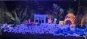 畫(huà)法幾何適配米魚(yú)缸造景套餐裝飾擺件沉木仿真假山珊瑚小型生態(tài)家魚(yú)缸造景 海綿寶寶9件套 曬單實(shí)拍圖