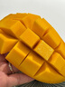 胖東來品質(zhì)海南芒果10斤新鮮水果應(yīng)當(dāng)季現(xiàn)摘整箱小臺(tái)芒甜心芒大果 3斤 小果 單果50-80g青果發(fā)貨 曬單實(shí)拍圖
