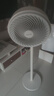 華凌美的【小暴風(fēng)】白天鵝空氣循環(huán)扇 家用電風(fēng)扇大風(fēng)量搖頭輕音臥室臺式落地扇節(jié)能空調(diào)扇WH-FGA2001 曬單實(shí)拍圖