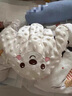 活石（LIVING STONES）安撫手掌哄睡神器哄娃拍睡解放雙手新生嬰兒二月鬧防驚跳安撫枕 白鴨丨 遙控拍睡-哄娃神器【超強(qiáng)續(xù)航+52首兒歌】 安撫睡覺神器丨可熱敷/拆洗 曬單實(shí)拍圖