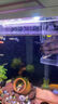 魚缸背景貼紙缸外靜電水族箱專用純黑色背景壁紙玻璃底部裝飾貼膜 魚缸背景貼【靜電無膠款】贈工具 30厘米寬1米長 曬單實拍圖