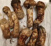 土地母親計(jì)劃 【現(xiàn)貨】香格里拉新鮮松茸菌菇營(yíng)養(yǎng)菌湯煲湯未開(kāi)傘松茸 團(tuán)購(gòu)禮盒 精選未開(kāi)傘5-6cm 500g 曬單實(shí)拍圖