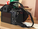 尼康（Nikon）Z50II（Z50ii/ Z502 / Z50二代 )入門級微單套機 街拍Vlog（Z DX 18-140mm f/3.5-6.3 VR） 曬單實拍圖