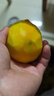 粵迎四川攀枝花凱特芒當(dāng)應(yīng)季新鮮水果超甜芒果水果應(yīng)季現(xiàn)摘時(shí)令生鮮 5斤精選果【老農(nóng)手挑】?jī)?.5斤 曬單實(shí)拍圖