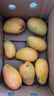 廣西小臺(tái)農(nóng)芒果 新鮮水果 帶箱3斤【單果60-80g】 曬單實(shí)拍圖