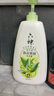六神清涼爽膚沐浴露1kg（綠茶+甘草）去除黏膩汗味 即刻舒爽 易沖凈 曬單實拍圖