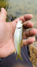 達(dá)摩浮漂輕口鯽魚(yú)漂高靈敏咬鉤變色鯉魚(yú)綜合日夜兩用電子夜光漂 DL-12【不變色底釣羅非】 1號(hào) 曬單實(shí)拍圖