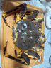 參典 鮮活速凍阿拉斯加帝王蟹生鮮海鮮水產(chǎn)中秋送禮 4.6-5斤/只【送石斑魚(yú)】 曬單實(shí)拍圖