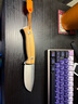 LIONSTEEL 意大利lionsteel鋼獅M2高硬度M390戶(hù)外直刀生存刀 M2M UL 曬單實(shí)拍圖