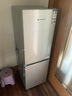 上菱183升雙開門冰箱小型出租房2-3人用 出租屋家用兩門二門小戶型雙門電冰箱以舊換新BCD-183D 曬單實拍圖