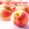 京鮮生  山西水蜜桃 凈重4.5斤 單果150g+ 生鮮水果 源頭直發(fā)  曬單實(shí)拍圖