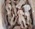 牛蛙特大蛙肉田雞半成品批發(fā)2斤/（4-6只）｜京東快遞 更快更好 牛蛙3斤/（6-8只） 曬單實(shí)拍圖