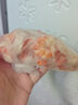 1號會員店黑虎蝦仁 0添加人工保水劑 海鮮水產 去蝦線 凈重1Kg（66-88只） 曬單實拍圖