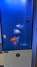 漢霸2025新款魚缸客廳家用底濾小型超白玻璃造景水族箱智能落地 冰川白【底濾*到手就養(yǎng)魚】 40x40x125cm 曬單實拍圖
