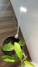 三思京東集采JC系列全光譜植物燈補光燈國家補貼植物生長盆夾燈-7W 曬單實拍圖