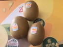佳沛（zespri）新西蘭  陽光金奇異果巨大果22粒原箱 單果重約144-175g 獼猴桃 曬單實(shí)拍圖