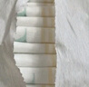好奇（Huggies）心鉆裝小森林紙尿褲M50片(6-11kg)中號(hào)尿不濕透氣夏季超薄 曬單實(shí)拍圖