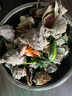 瑞陽水產(chǎn)丹東東港鮮活大香螺大海螺生蠔鮑魚海螺扇貝特大野生螺 試吃一斤小海螺 曬單實(shí)拍圖