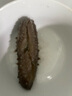 山姆 冷凍即食海參 500g 500g 曬單實(shí)拍圖