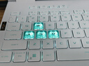 華碩天選6 國家補(bǔ)貼20%16英寸游戲本 筆記本電腦（銳龍 7 H 260 16G 1T RTX5050 2.5K)青 曬單實(shí)拍圖