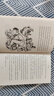 紐伯瑞獎作品  英文原版 兒童文學(xué)名著 中學(xué)英語閱讀書籍  夏洛的網(wǎng) 洞 手斧男孩 時間的皺紋 記憶傳授人 夏洛特的網(wǎng)英文原版 【送音頻】夏洛的網(wǎng) 曬單實拍圖