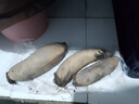 果心榴新鮮蓮藕現(xiàn)挖菜藕脆藕鮮藕蓮藕炒食藕糖藕鹵藕洪湖新鮮脆藕 洪湖脆藕1斤 嘗鮮裝 曬單實(shí)拍圖