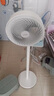華凌美的【小暴風】白天鵝空氣循環(huán)扇 家用電風扇大風量搖頭輕音臥室臺式落地扇節(jié)能空調(diào)扇WH-FGA2001 曬單實拍圖