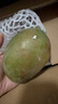 【源頭直發(fā)】凱特芒新鮮水果應(yīng)當(dāng)季生鮮 帶箱2斤 中大果【單果200-300g】 曬單實拍圖