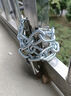 杜奧加長(zhǎng)鏈條鎖家用鎖具防剪防盜車鎖自行車鎖鐵鏈子門鎖 加粗1米鏈條 曬單實(shí)拍圖