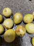 美香農(nóng)場(chǎng)國(guó)產(chǎn)黃金百香果 西番蓮 新鮮生鮮水果 12枚 單果40g+ 曬單實(shí)拍圖