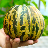 京覓黃桃水果山東蒙陰桃子新鮮蜜桃 凈重4.5斤 單果150g起 源頭直發(fā) 曬單實(shí)拍圖