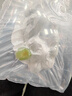 博多客陽(yáng)光玫瑰葡萄 順豐冷鏈  新鮮無(wú)籽香印青提 應季水果提子 3斤 大果（單顆12-18g） 曬單實(shí)拍圖