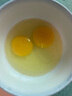 京東包郵谷飼鮮雞蛋40g左右農(nóng)家散養(yǎng)土雞蛋五谷喂養(yǎng)初產(chǎn)買菜早餐 30枚家庭裝 曬單實(shí)拍圖