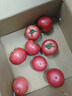 京鮮生沙瓤粉西紅柿 凈重3斤 單果100g+果菜兩吃 源頭直發(fā) 【搜生鮮館】 曬單實(shí)拍圖