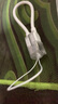 掛繩短款數據線(xiàn)快充type-c to type-c /lightning便攜裝飾適用蘋(píng)果華為OPPO榮耀小米vivo手機 掛繩線(xiàn)【蘋(píng)果5-14丨PD快充線(xiàn)】白色 曬單實(shí)拍圖