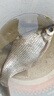 漢鼎一號6代綜合竿大物28 19調鰱鳙竿鯽魚手桿綜合野釣臺釣竿六代魚竿 5.4m 六代【綜合泛用，鯽鯉兼釣】 曬單實拍圖