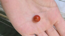 妍韻珠寶收藏級涼山南紅瑪瑙單珠散珠轉(zhuǎn)運珠配珠男女士款水晶瑪瑙 11-12mm 曬單實拍圖