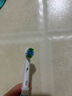 歐樂(lè)B電動(dòng)牙刷頭小圓頭軟毛護(hù)齦成人適配成人D/P/Pro系列組合裝升級(jí)款 精準(zhǔn)+精準(zhǔn)+美白 3支 曬單實(shí)拍圖