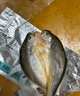 黃小漁寧德黃魚鲞400g/2條 三去大黃魚黃花魚生鮮 海鮮水產(chǎn)燒烤夜宵魚類 曬單實(shí)拍圖