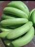 廣西甄選高山香蕉新鮮當季水果青香蕉自然熟普通驚喜香甜軟糯禮盒 香蕉青蕉發(fā)貨 帶箱 2斤 曬單實(shí)拍圖