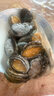 江船長 冷凍鮑魚 凈重160g(18-22粒)袋裝 火鍋燒烤食材 海鮮生鮮 曬單實拍圖