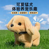 小象跳舞兒童寶寶玩偶小狗玩具狗狗走路會(huì)叫毛絨電動(dòng)生日禮物電子狗1-3歲 曬單實(shí)拍圖