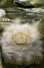 babycare金山茶花紙尿褲NB68片(<5kg)新生兒嬰兒尿不濕超薄透氣輕柔花苞褲 曬單實(shí)拍圖