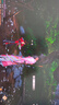 蓋世小雞（GAMESIR）G7 Pro微軟Xbox授權(quán)精英游戲手柄 TMR搖桿體感雙切扳機(jī)光微動(dòng)藍(lán)牙PC電腦無線Steam安卓電視手機(jī) 曬單實(shí)拍圖