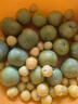 良知農(nóng)哥【順豐】東北新鮮洋菇娘果 新鮮黃姑娘果燈籠果菇?jīng)龉麕?5斤 曬單實(shí)拍圖