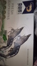 賣魚郎先生青島鹽凍大蝦凈重3.6斤 20-25只/斤 白蝦基圍蝦生鮮 蝦類 曬單實拍圖