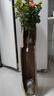 棒棒糖樹(shù)樁月季花苗樹(shù)狀特大花朵四季開(kāi)花花卉植物庭院玫瑰花樹(shù)苗 果汁陽(yáng)臺【多季循環(huán)開(kāi)花】 粗度：直徑1.5-1.7cm 曬單實(shí)拍圖