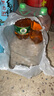 原漿鮮啤大桶裝啤酒頭道原裝青島風(fēng)味全麥黃啤扎啤批發(fā) 1.5L 6桶 曬單實(shí)拍圖